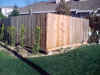 Fence_0014.jpg (57967 bytes)